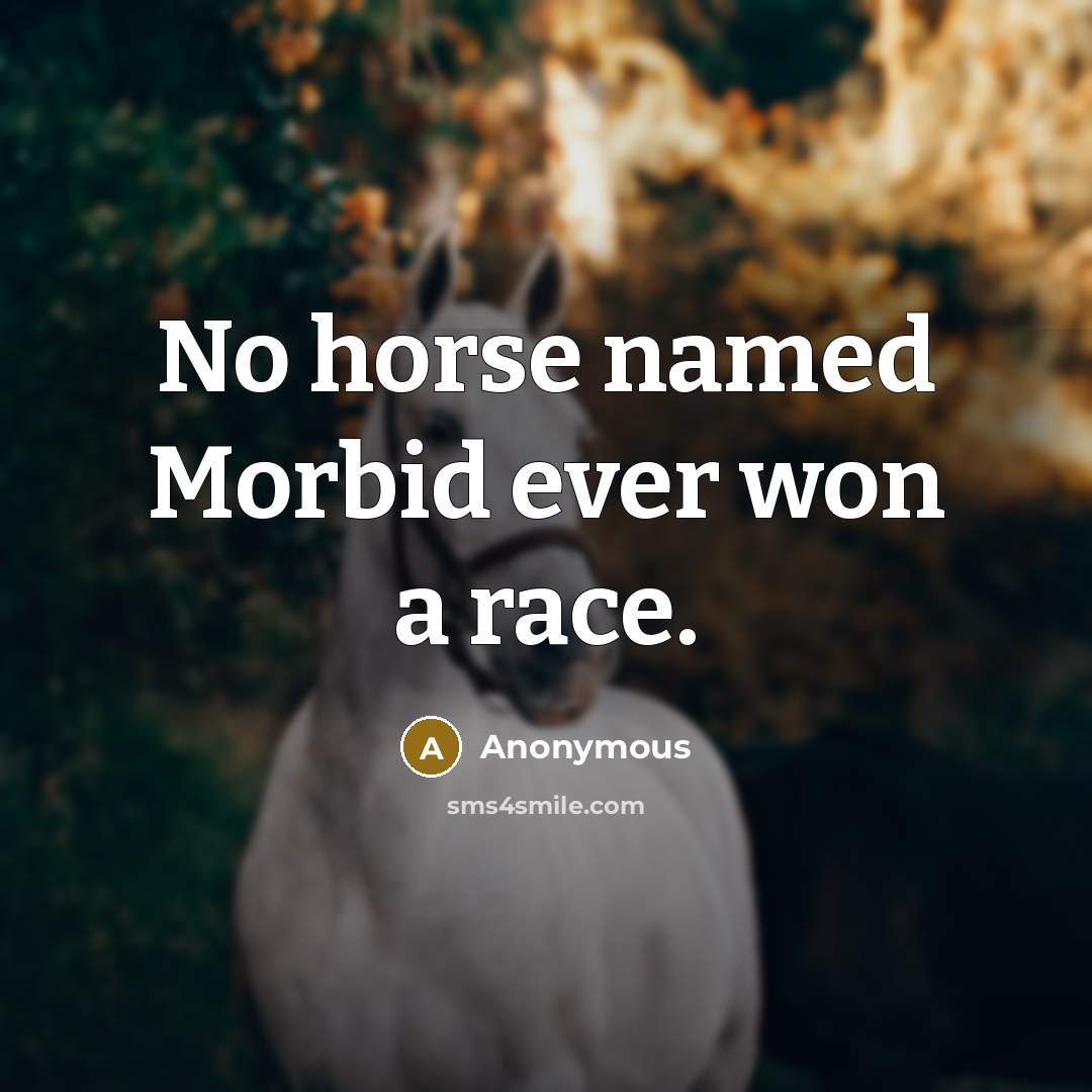“No horse named Morbid ever won a race.…” quote by Anonymous