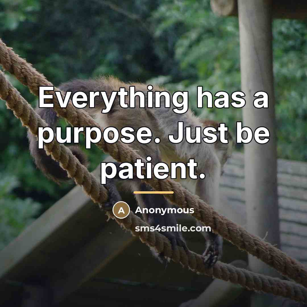 “Everything has a purpose. Just be patient.…” quote by Anonymous