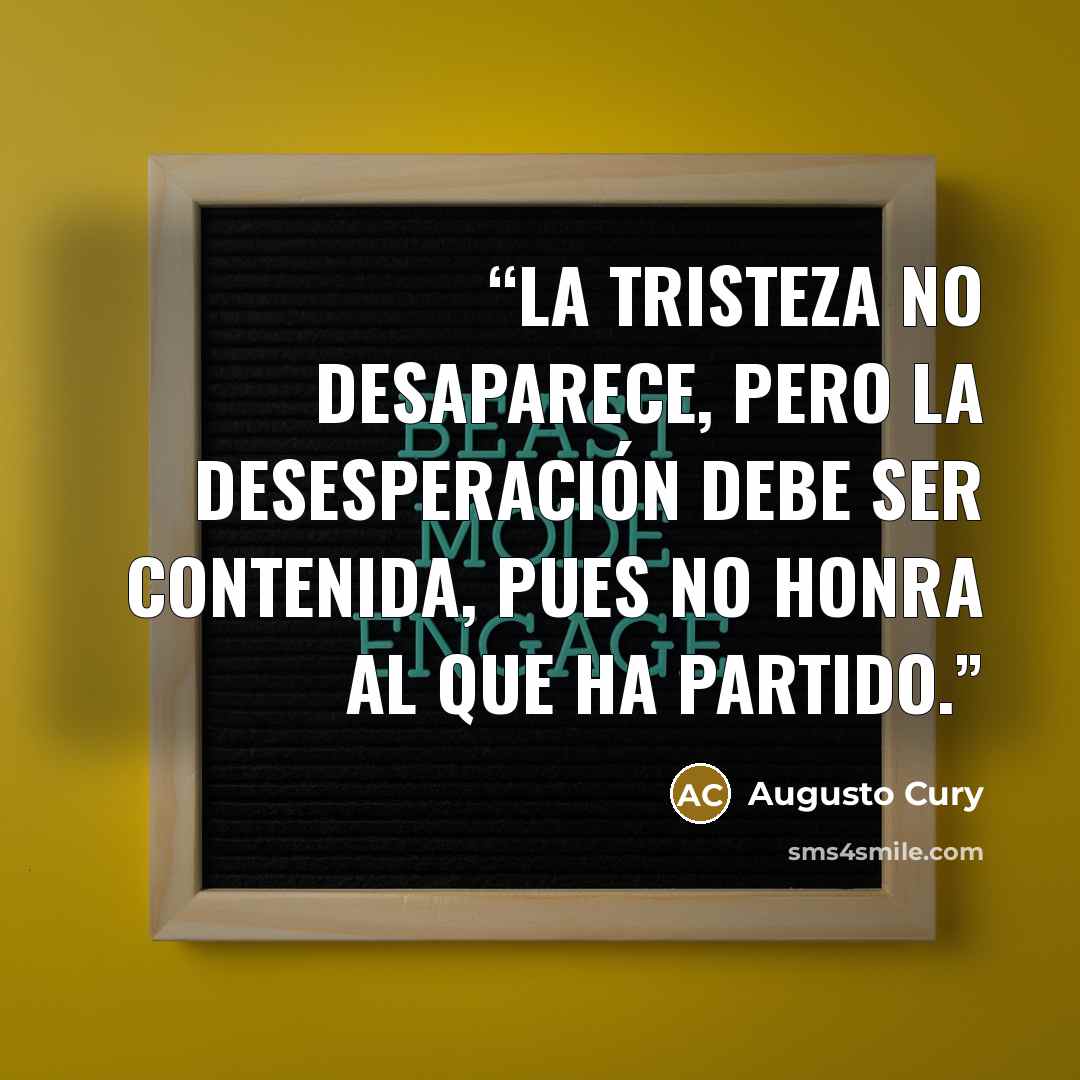 “La tristeza no desaparece, pero la desesperación debe ser contenida, pues no honra al que ha partido.” quote by Augusto Cury