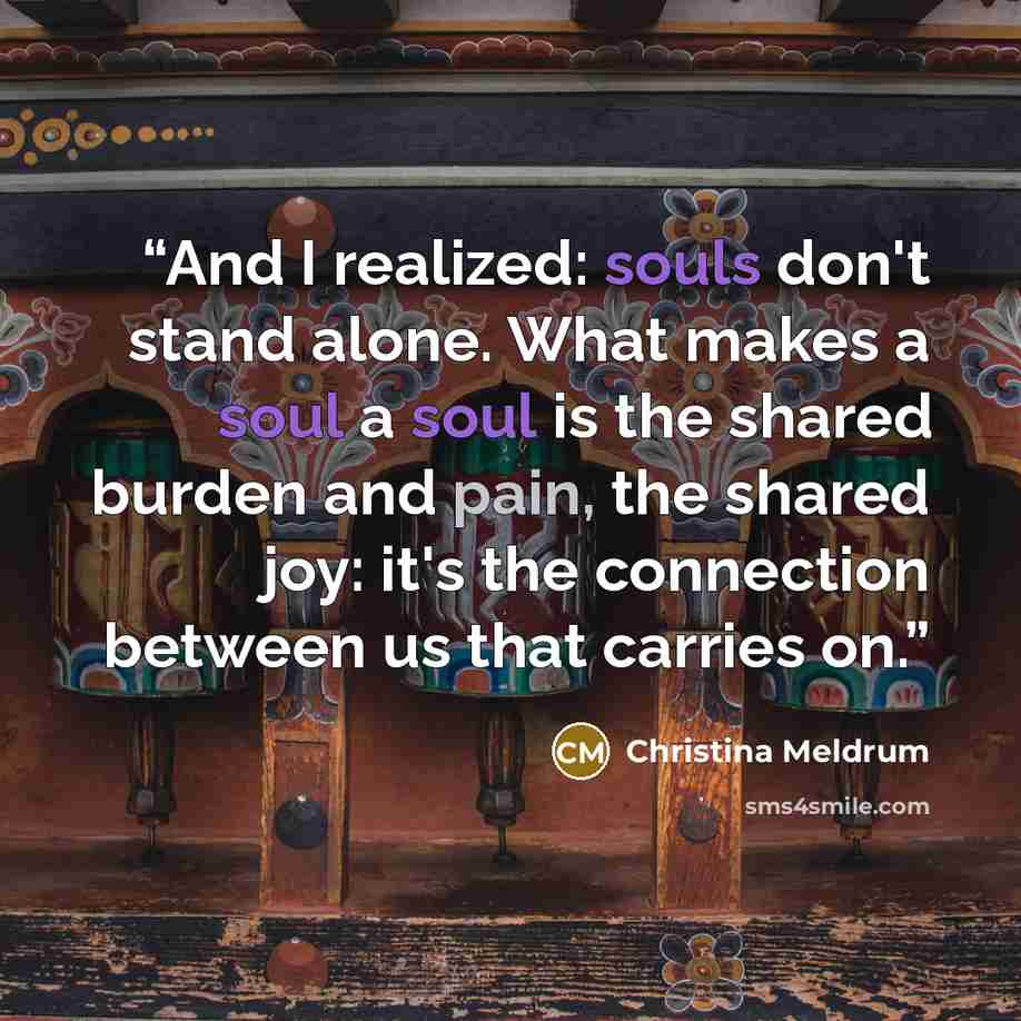 “And I realized: souls don't stand alone. What makes a soul a soul is the shared burden and pain, the shared joy: it's the connection between us that carries on.” quote by Christina Meldrum