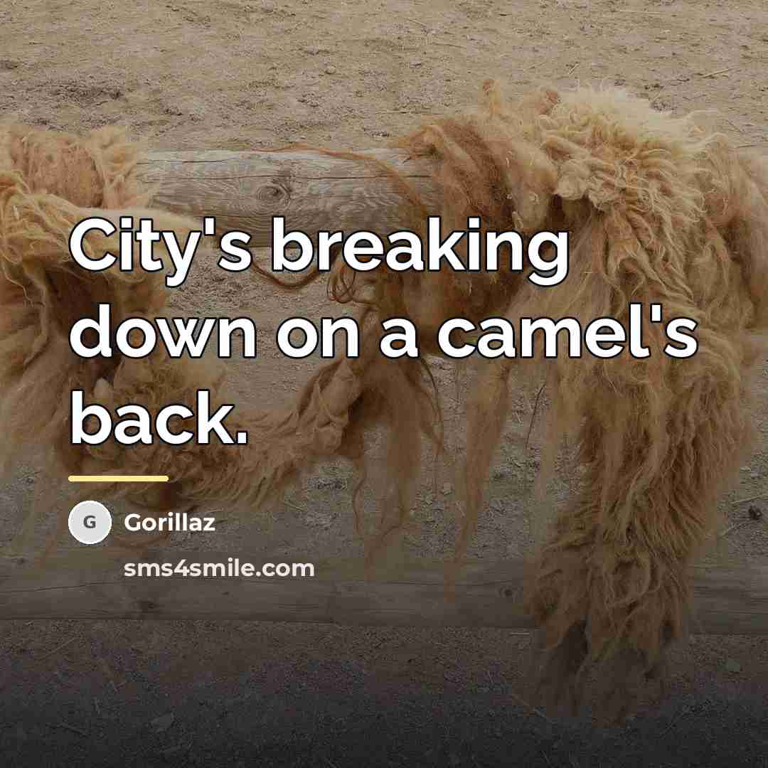 “City's breaking down on a camel's back.…” quote by Gorillaz