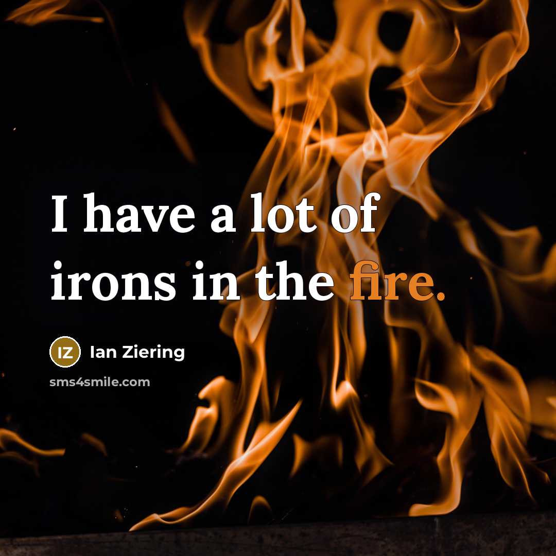 “I have a lot of irons in the fire.…” quote by Ian Ziering