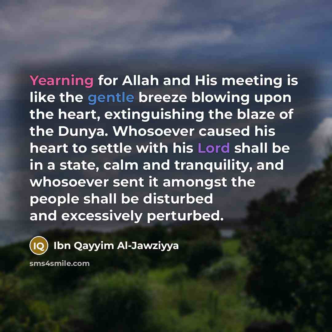 “Yearning for Allah and His meeting is like the gentle breeze blowing upon the heart, extinguishing the blaze of the Dunya. Whosoever caused his heart to settle with his Lord shall be in a state, calm and tranquility, and whosoever sent it amongst the people shall be disturbed and excessively…” quote by Ibn Qayyim Al-Jawziyya