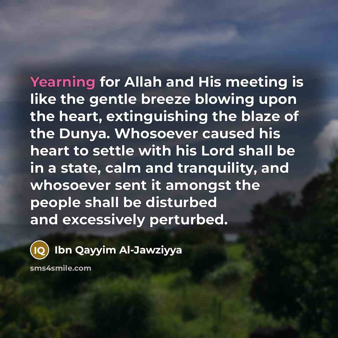 “Yearning for Allah and His meeting is like the gentle…” quote by Ibn Qayyim Al-Jawziyya