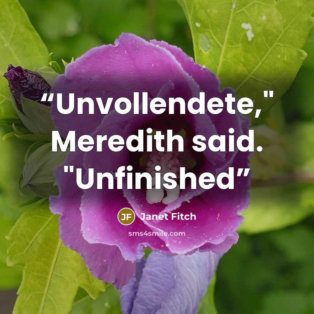 “Unvollendete," Meredith said. "Unfinished” quote by Janet Fitch