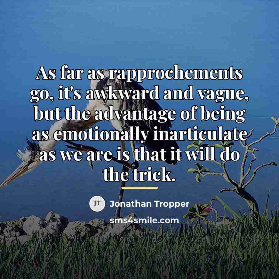 “As far as rapprochements go, it's awkward and vague, but…” quote by Jonathan Tropper
