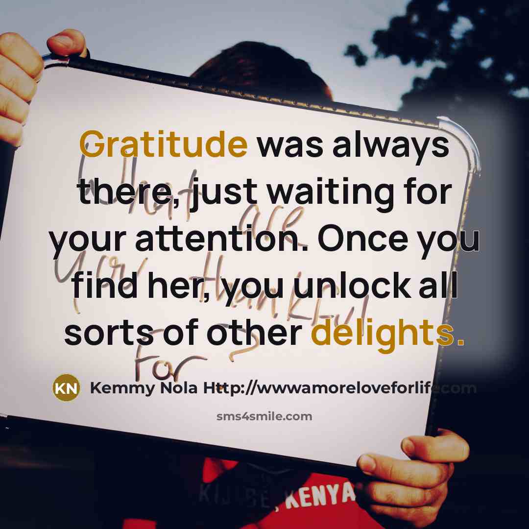 “Gratitude was always there, just waiting for your attention. Once you find her, you unlock all sorts of other delights.” quote by Kemmy Nola Http://wwwamoreloveforlifecom