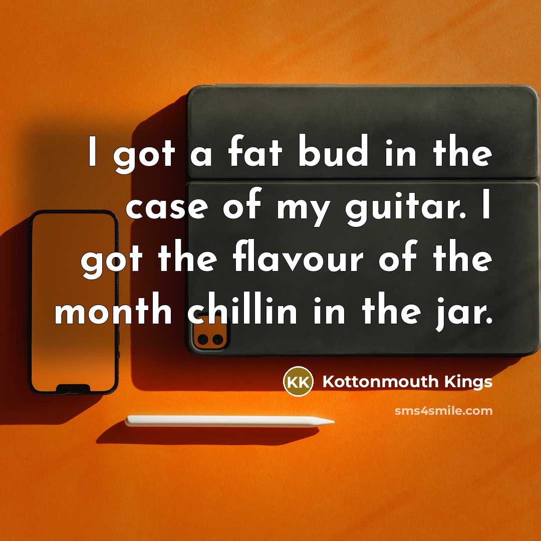 “I got a fat bud in the case of my…” quote by Kottonmouth Kings
