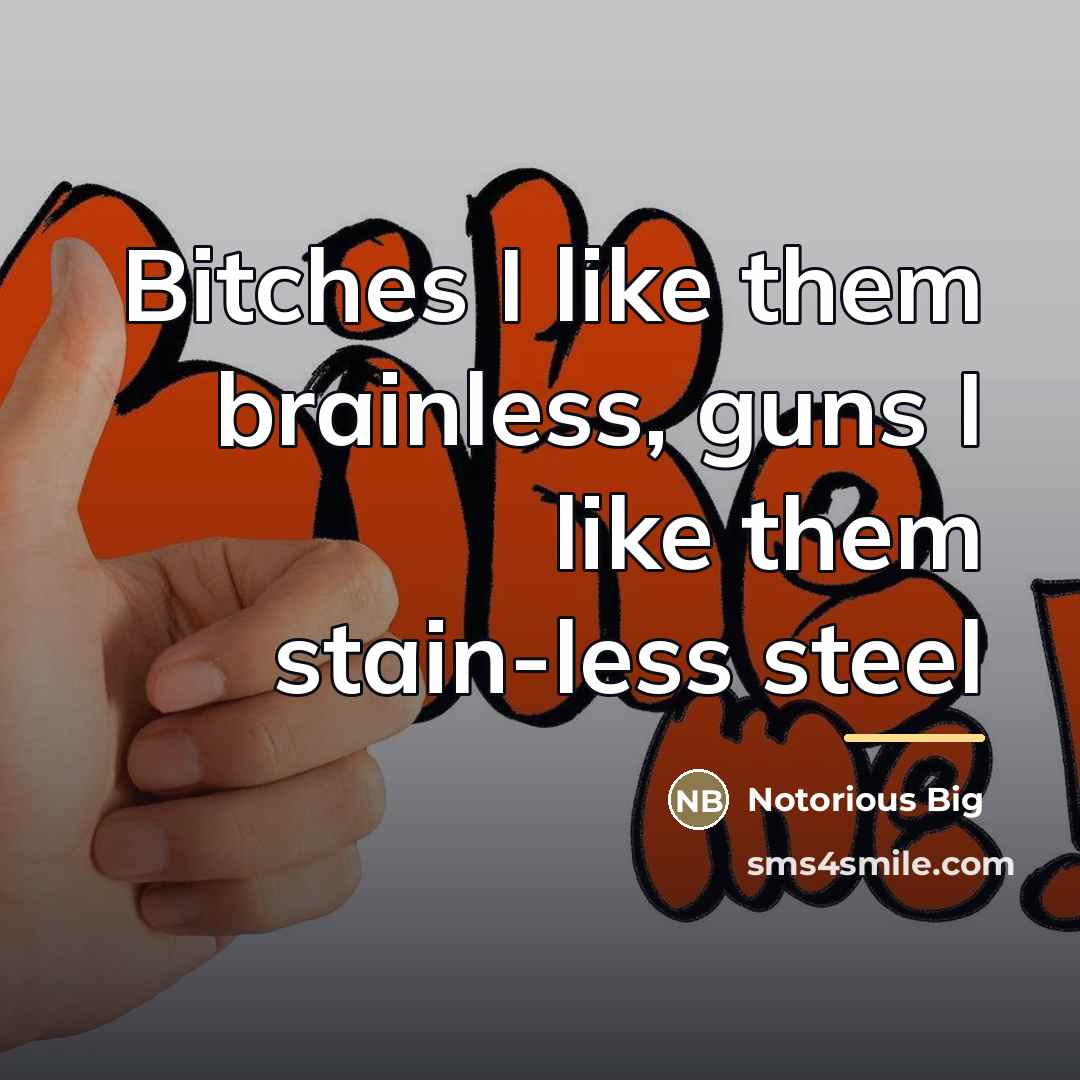 “Bitches I like them brainless, guns I like them stain-less…” quote by Notorious BIG