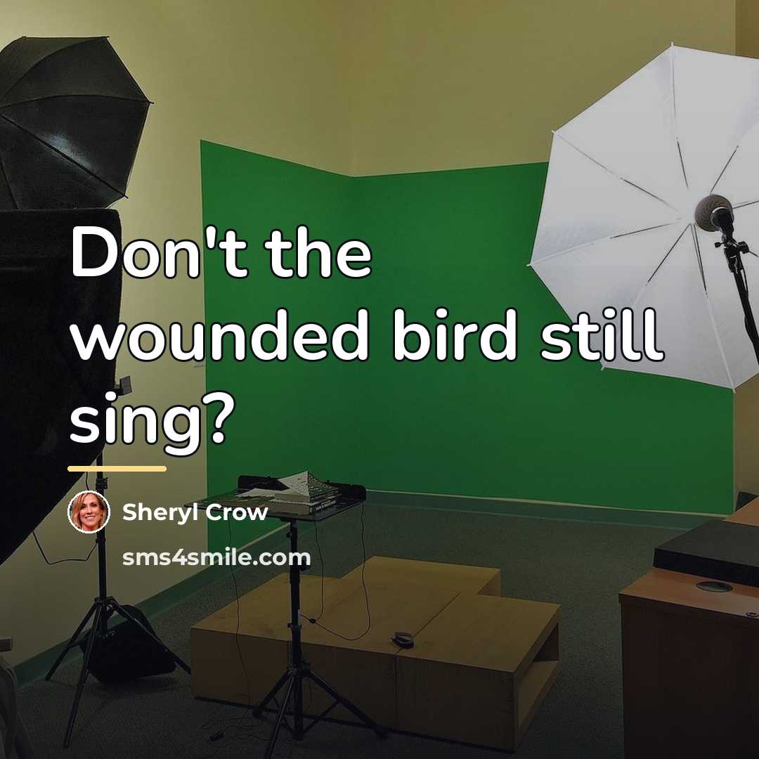 “Don't the wounded bird still sing?…” quote by Sheryl Crow