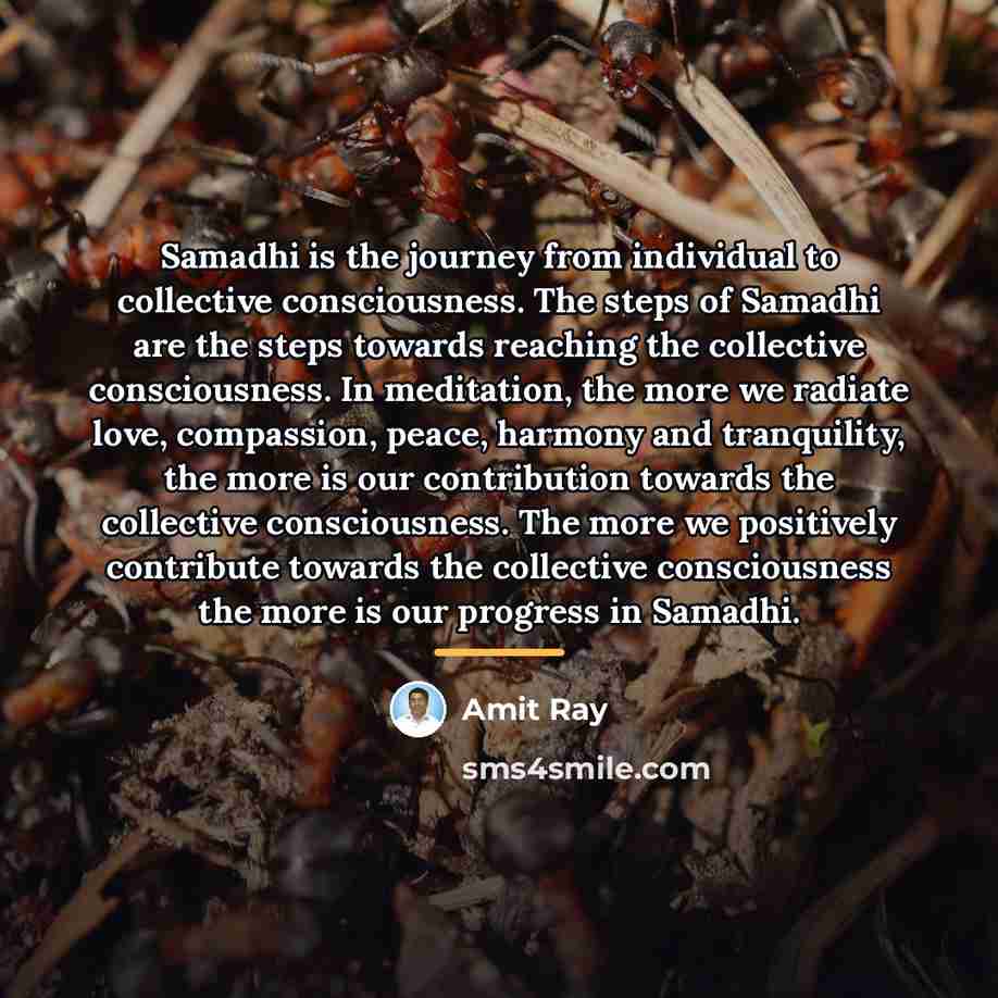 “Samadhi is the journey from individual to collective consciousness. The…” quote by Amit Ray