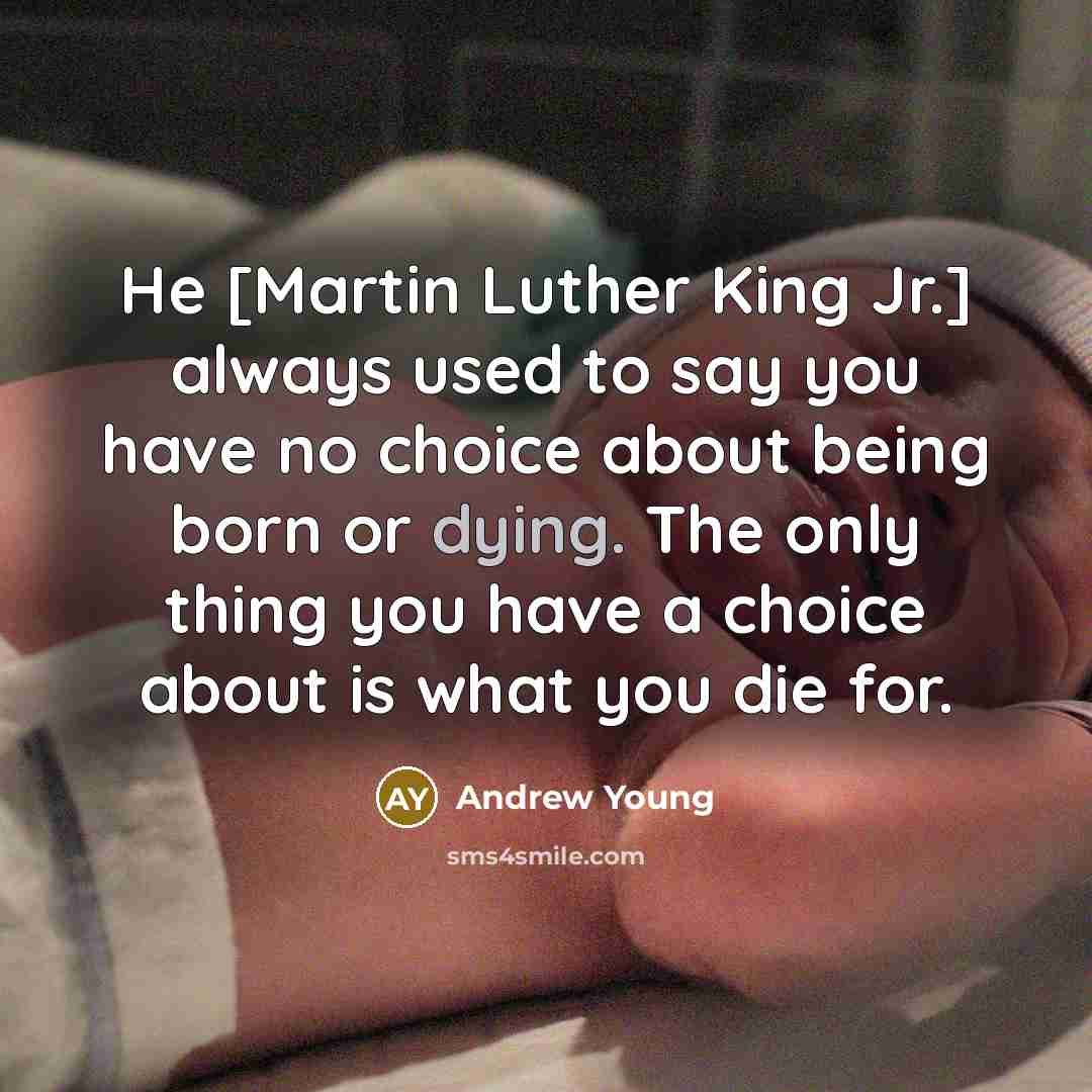 “He [Martin Luther King Jr.] always used to say you…” quote by Andrew Young