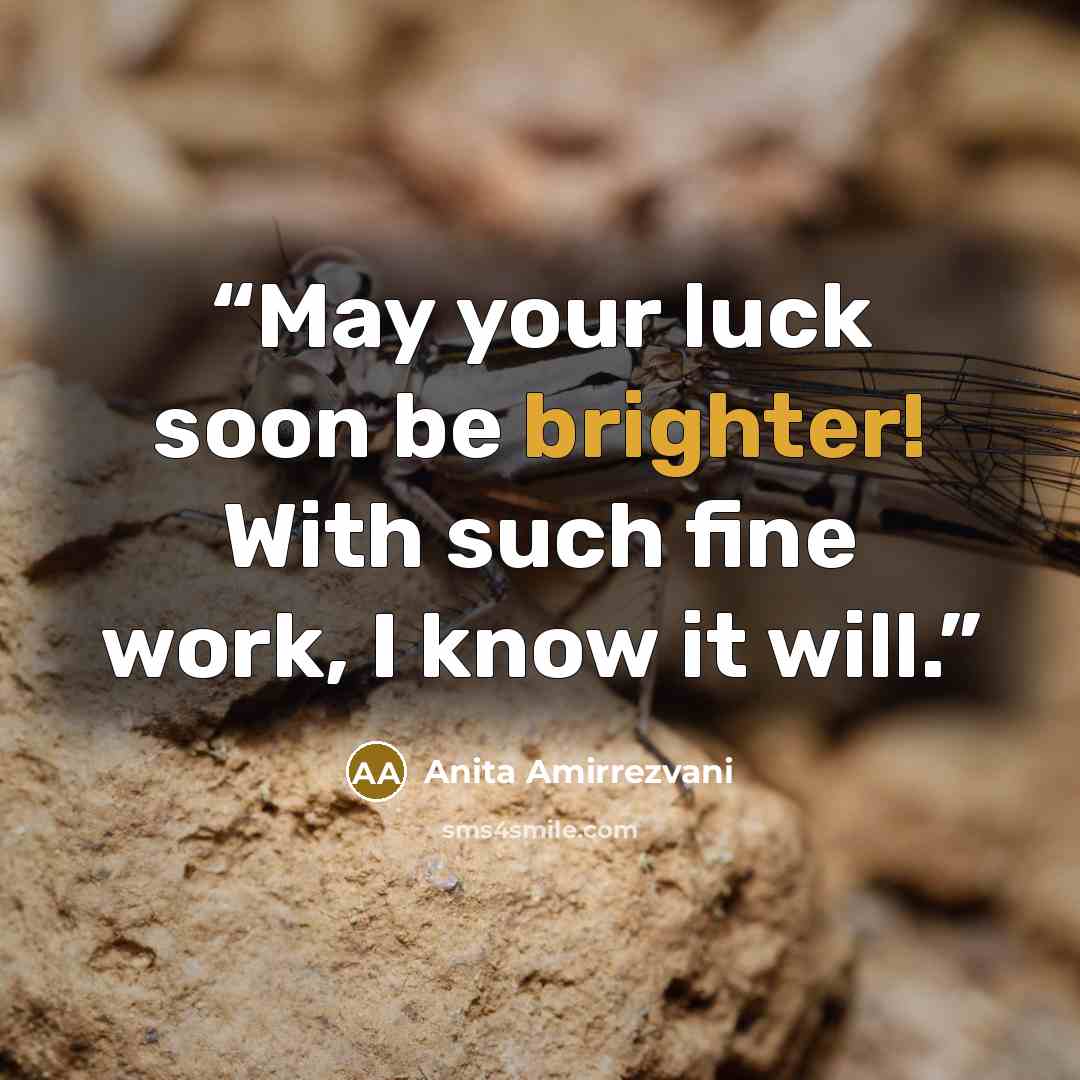 “May your luck soon be brighter! With such fine work, I know it will.” quote by Anita Amirrezvani