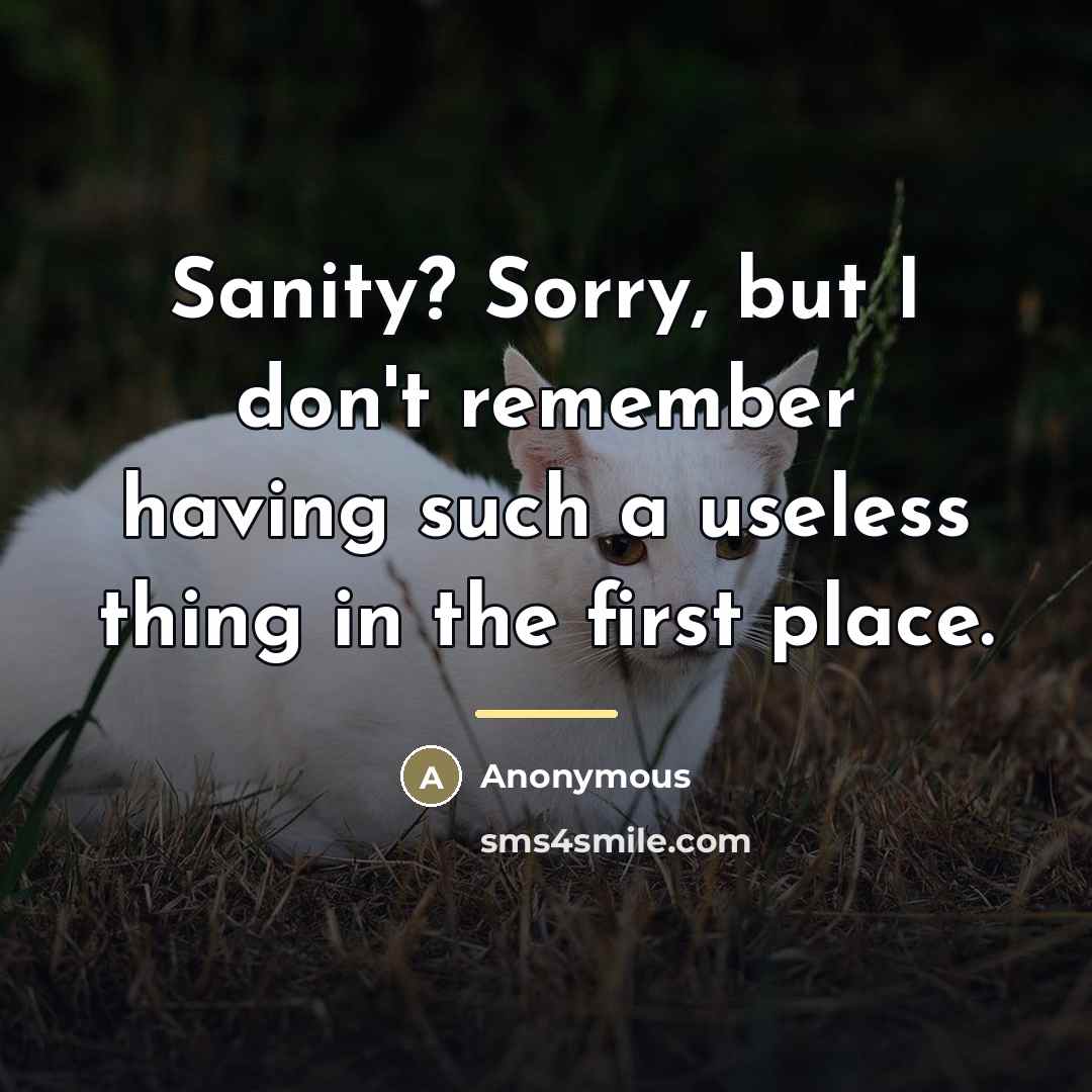 “Sanity? Sorry, but I don't remember having such a useless…” quote by Anonymous