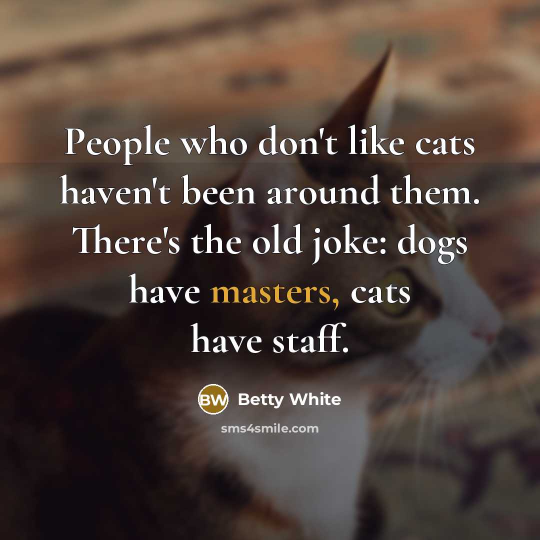 “People who don't like cats haven't been around them. There's…” quote by Betty White