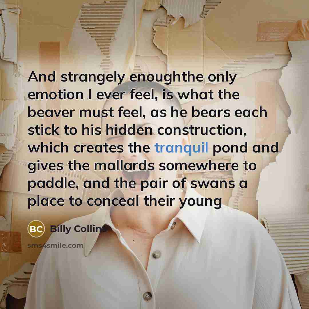 “And strangely enoughthe only emotion I ever feel, is what…” quote by Billy Collins