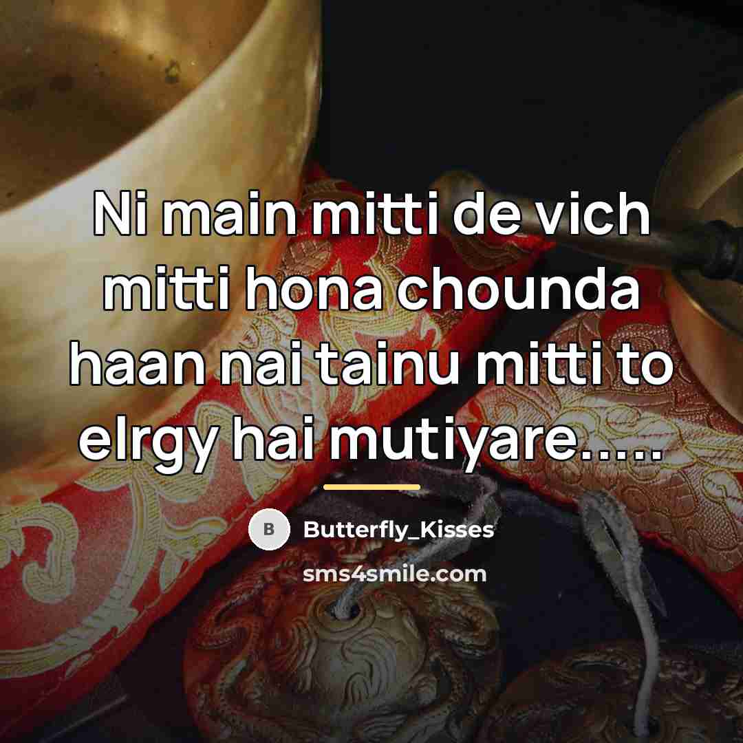 “Ni main mitti de vich mitti hona chounda haan nai…” quote by Butterfly_Kisses