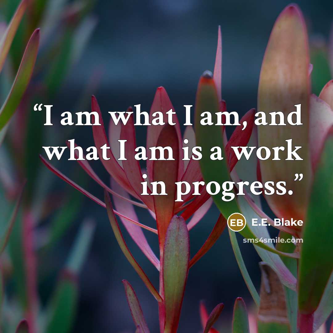 “I am what I am, and what I am is a work in progress.” quote by E.E. Blake