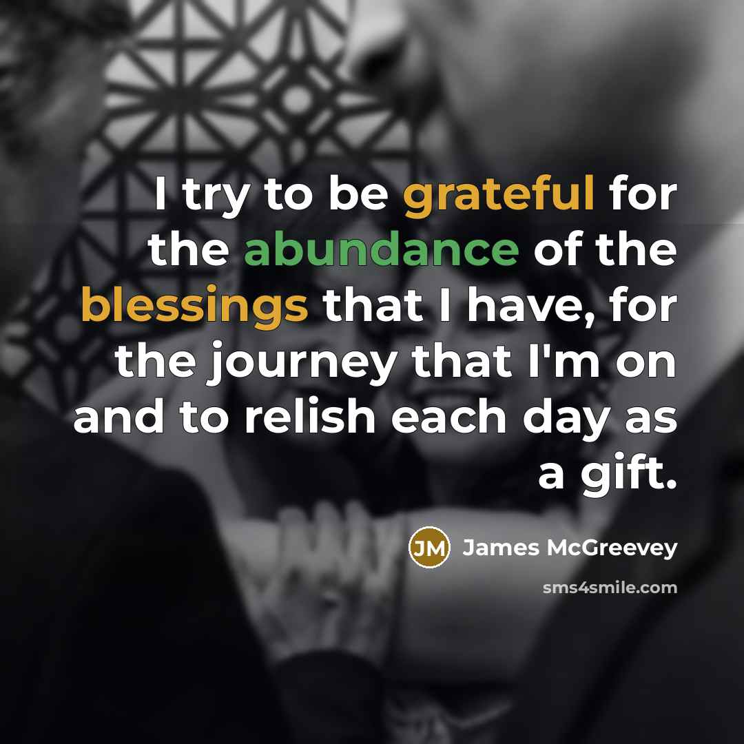 “I try to be grateful for the abundance of the…” quote by James McGreevey
