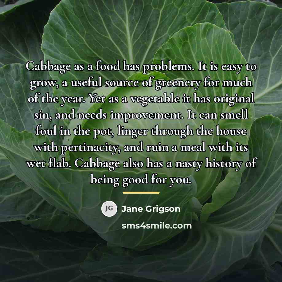 “Cabbage as a food has problems. It is easy to…” quote by Jane Grigson