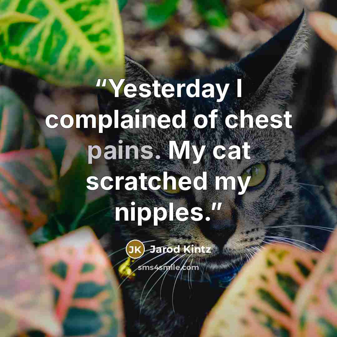 “Yesterday I complained of chest pains. My cat scratched my nipples.” quote by Jarod Kintz