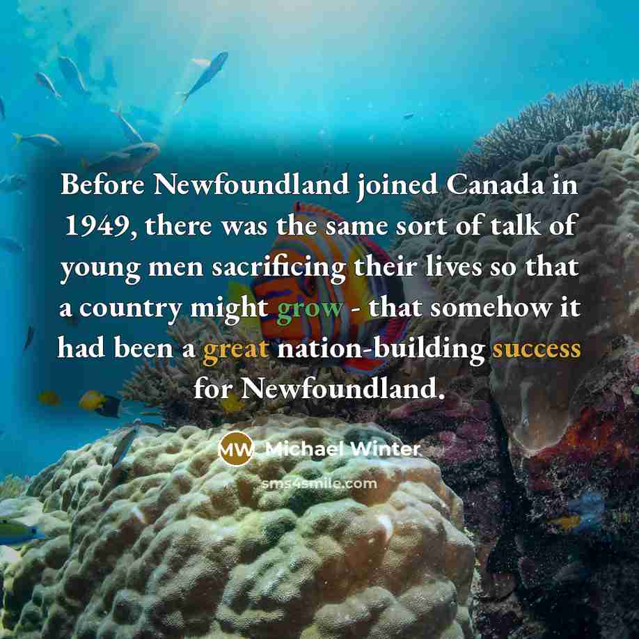 “Before Newfoundland joined Canada in 1949, there was the same sort of talk of young men sacrificing their lives so that a country might grow - that somehow it had been a great nation-building success for Newfoundland.” quote by Michael Winter