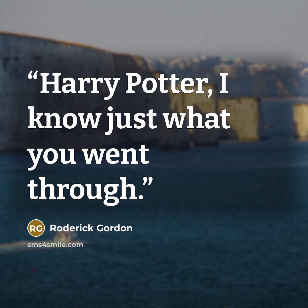 “Harry Potter, I know just what you went through.” quote by Roderick Gordon