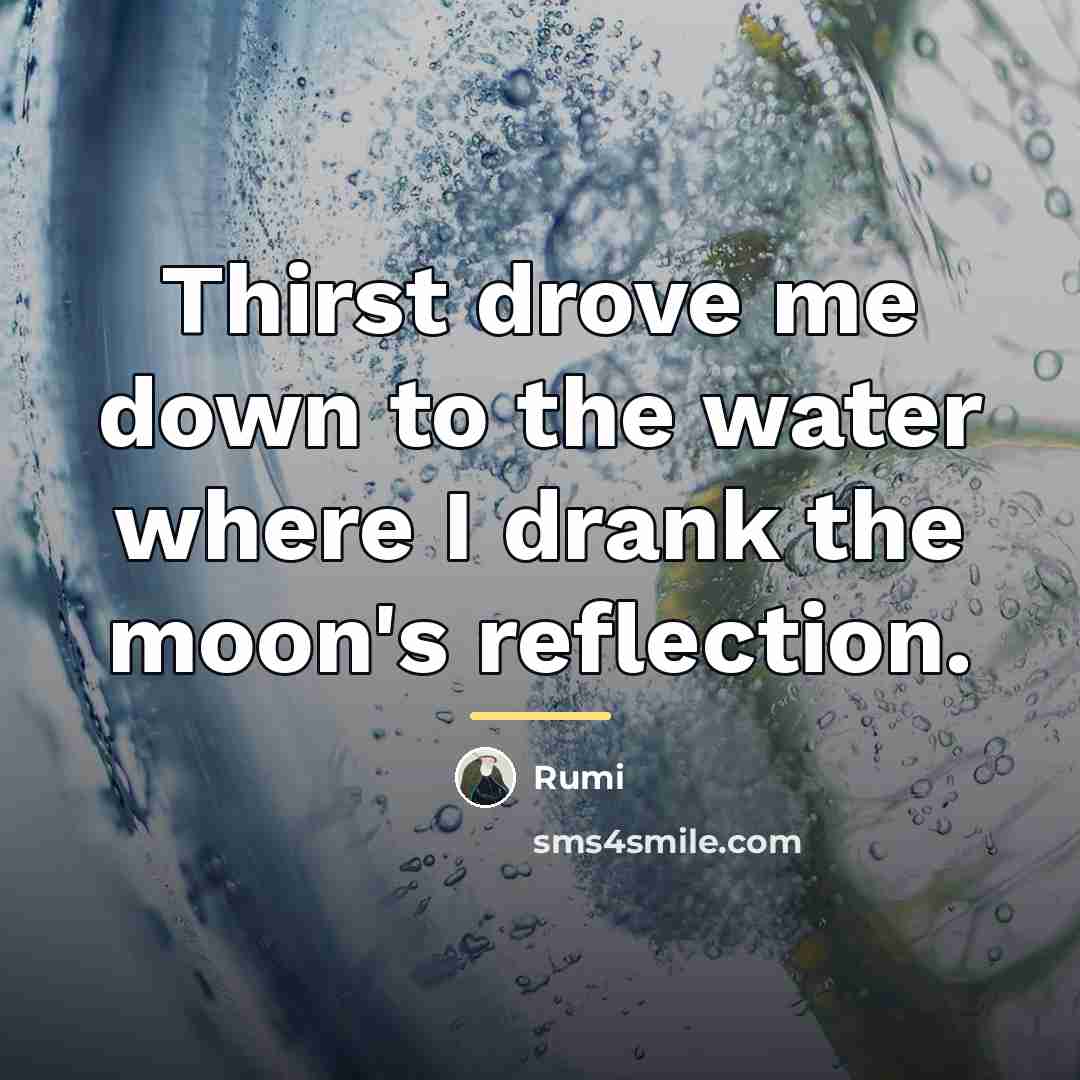 “Thirst drove me down to the water where I drank…” quote by Rumi