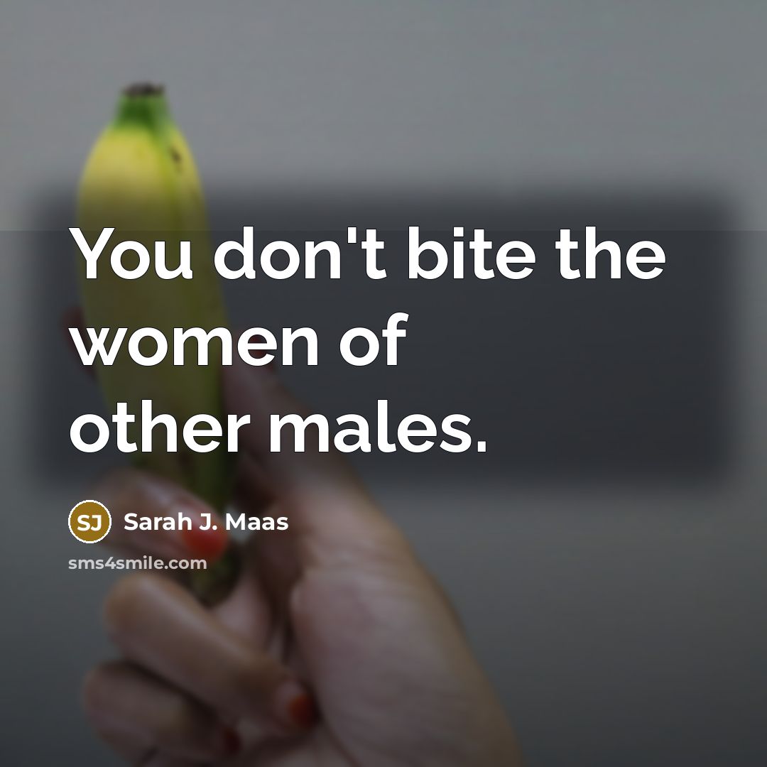 “You don't bite the women of other males.…” quote by Sarah J. Maas