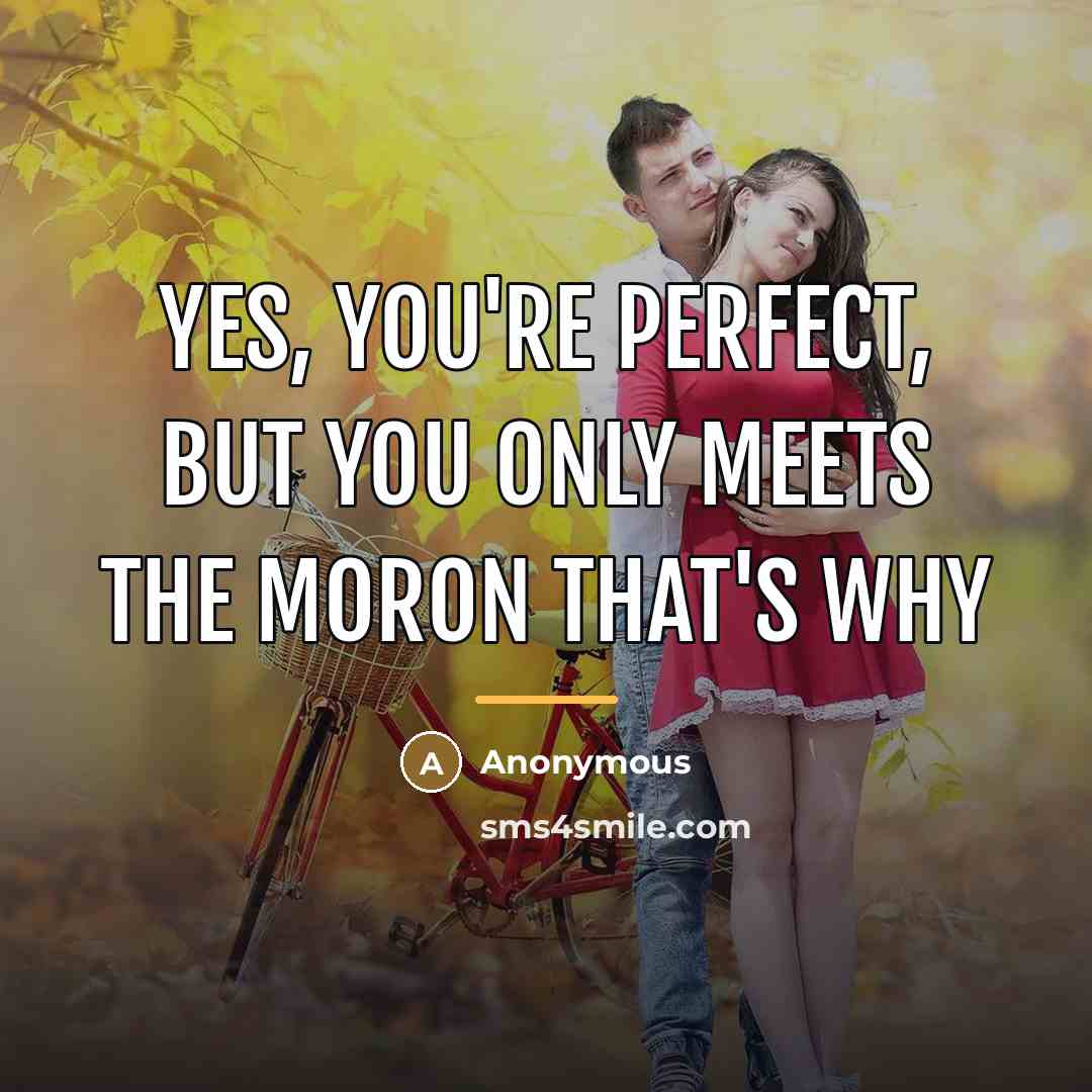 “Yes, you're perfect, but you only meets the moron that's…” quote by Anonymous