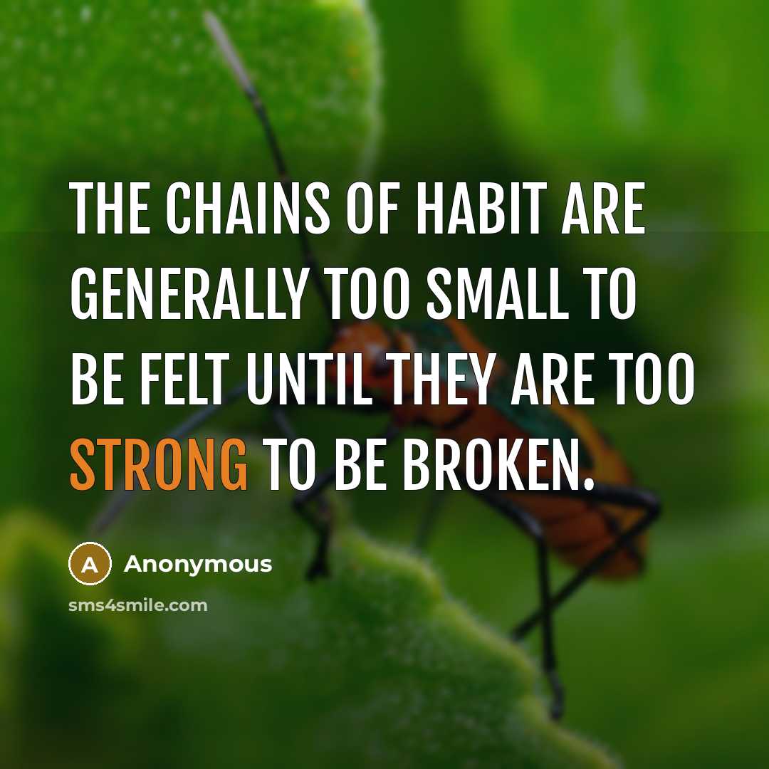 “The chains of habit are generally too small to be…” quote by Anonymous