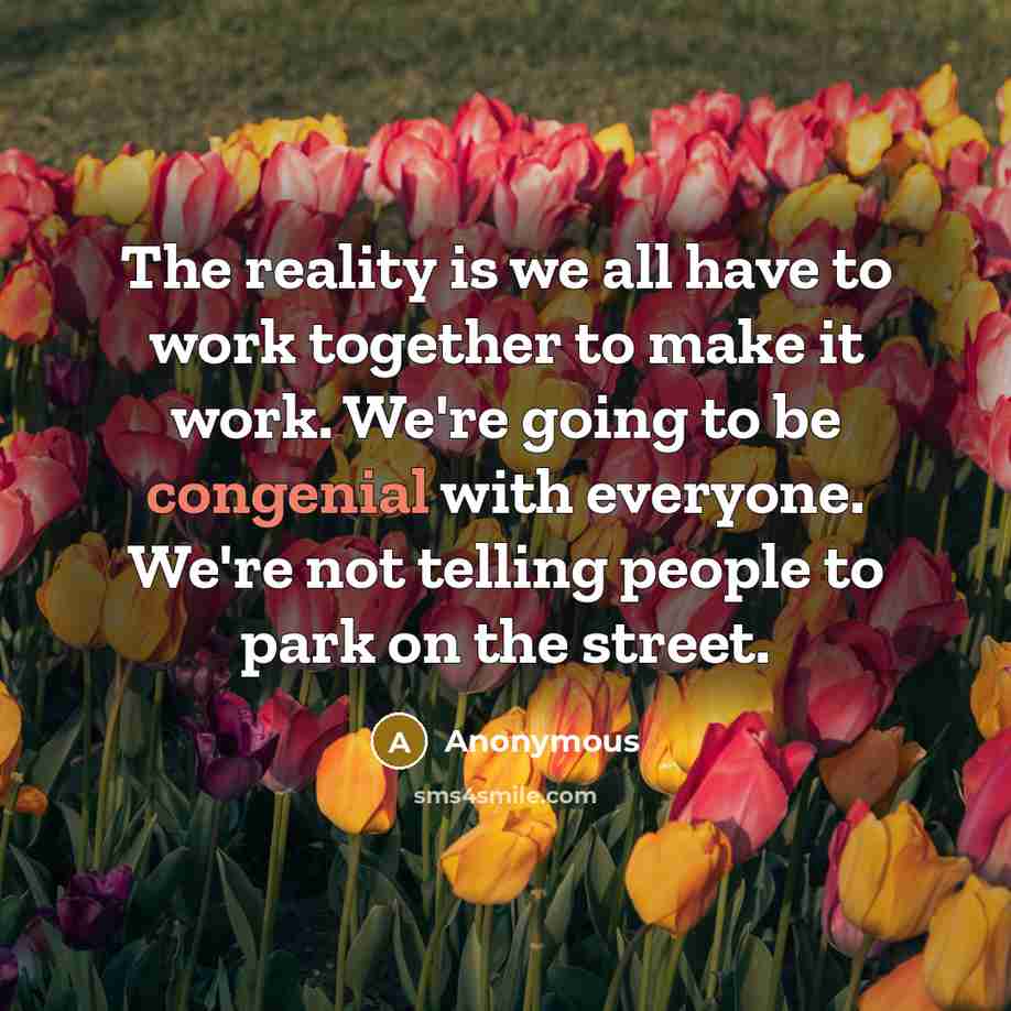 “The reality is we all have to work together to make it work. We're going to be congenial with everyone. We're not telling people to park on the street.” quote by Anonymous