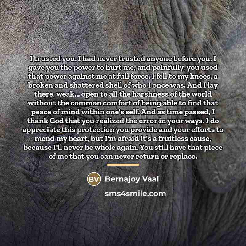 “I trusted you. I had never trusted anyone before you.…” quote by Bernajoy Vaal