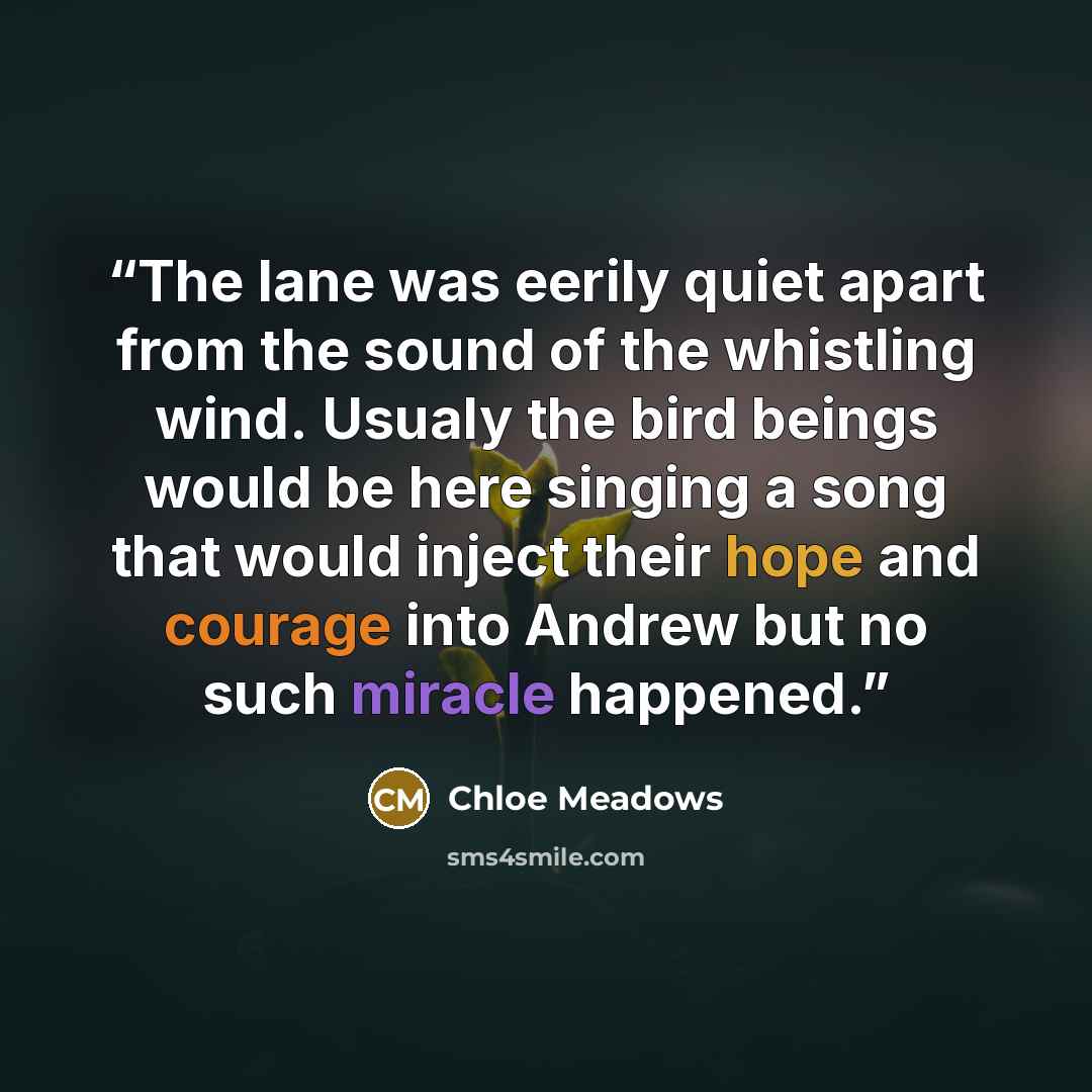“The lane was eerily quiet apart from the sound of the whistling wind. Usualy the bird beings would be here singing a song that would inject their hope and courage into Andrew but no such miracle happened.” quote by Chloe Meadows