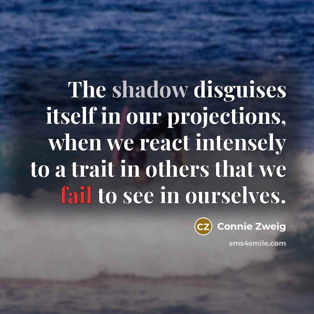 “The shadow disguises itself in our projections, when we react…” quote by Connie Zweig
