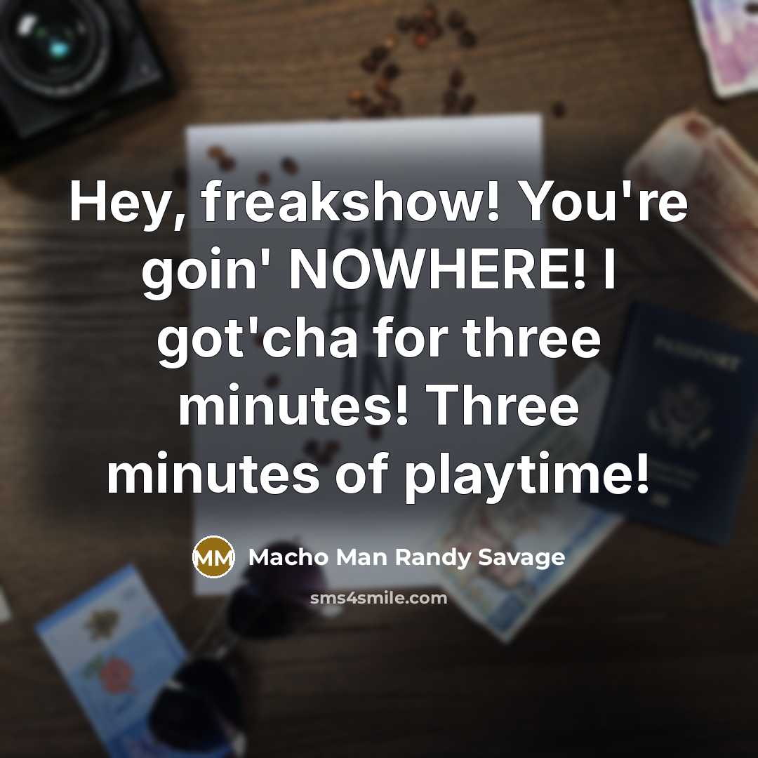 “Hey, freakshow! You're goin' NOWHERE! I got'cha for three minutes! Three minutes of playtime!” quote by Macho Man Randy Savage