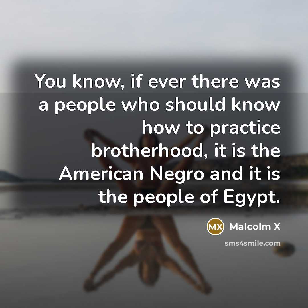 “You know, if ever there was a people who should…” quote by Malcolm X
