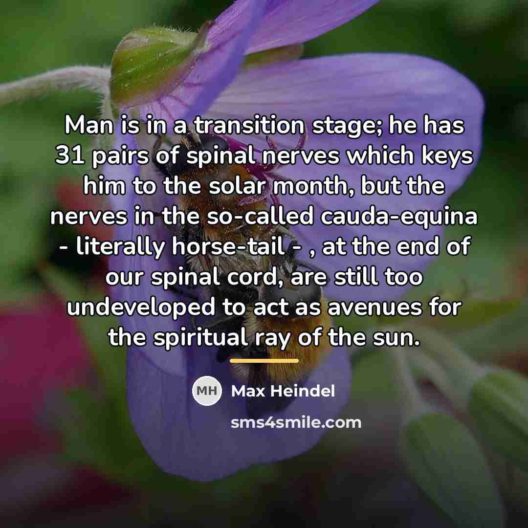 “Man is in a transition stage; he has 31 pairs…” quote by Max Heindel