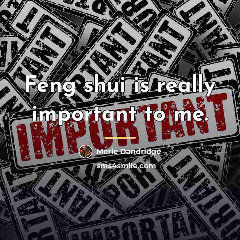 “Feng shui is really important to me.…” quote by Merle Dandridge