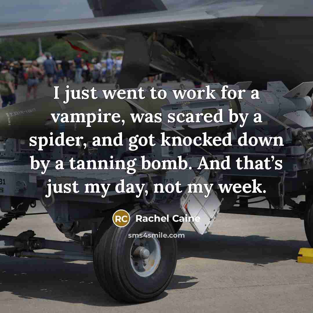 “I just went to work for a vampire, was scared…” quote by Rachel Caine