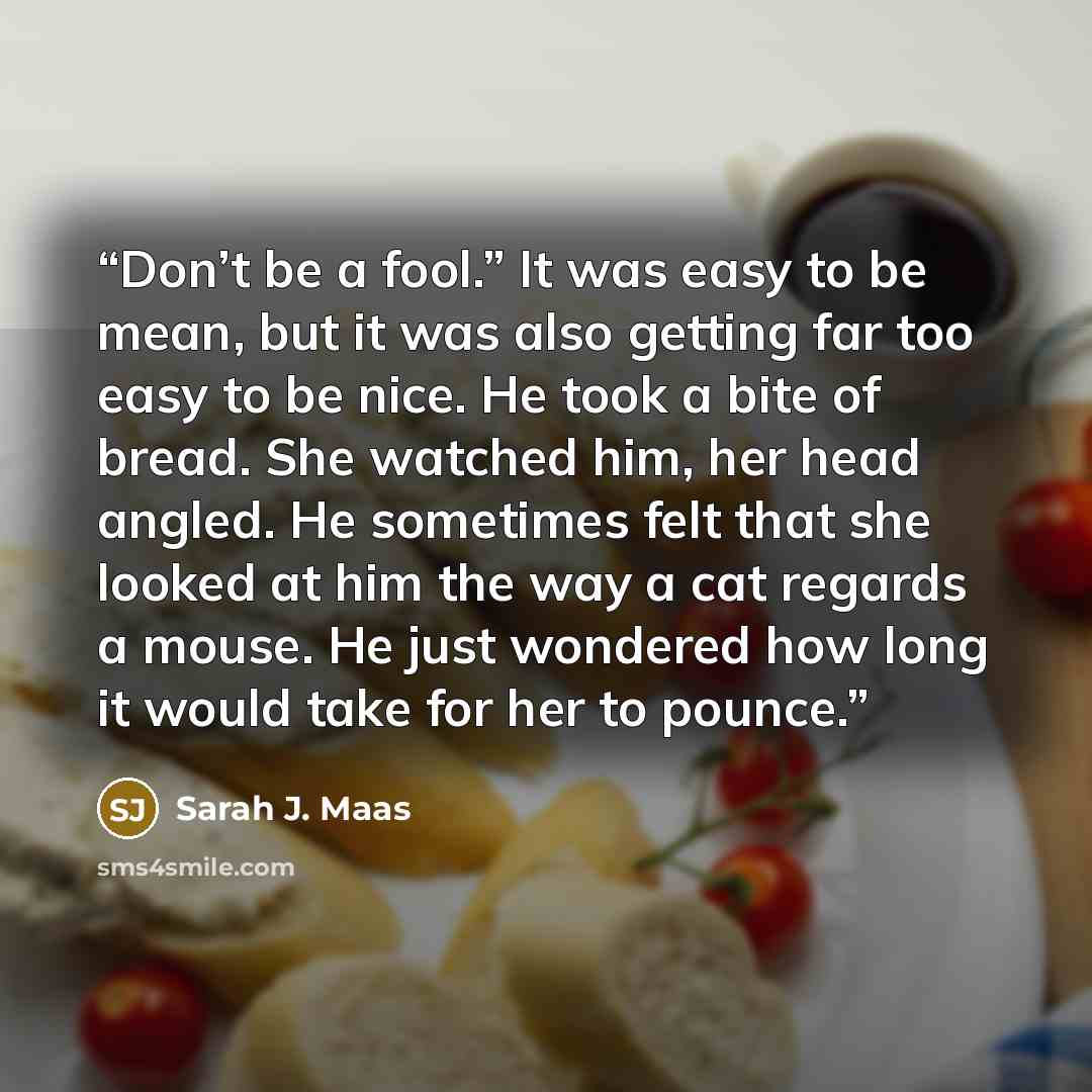 “Don’t be a fool.” It was easy to be mean, but it was also getting far too easy to be nice. He took a bite of bread. She watched him, her head angled. He sometimes felt that she looked at him the way a cat regards a mouse. He just wondered how long it would take for her to pounce.” quote by Sarah J. Maas