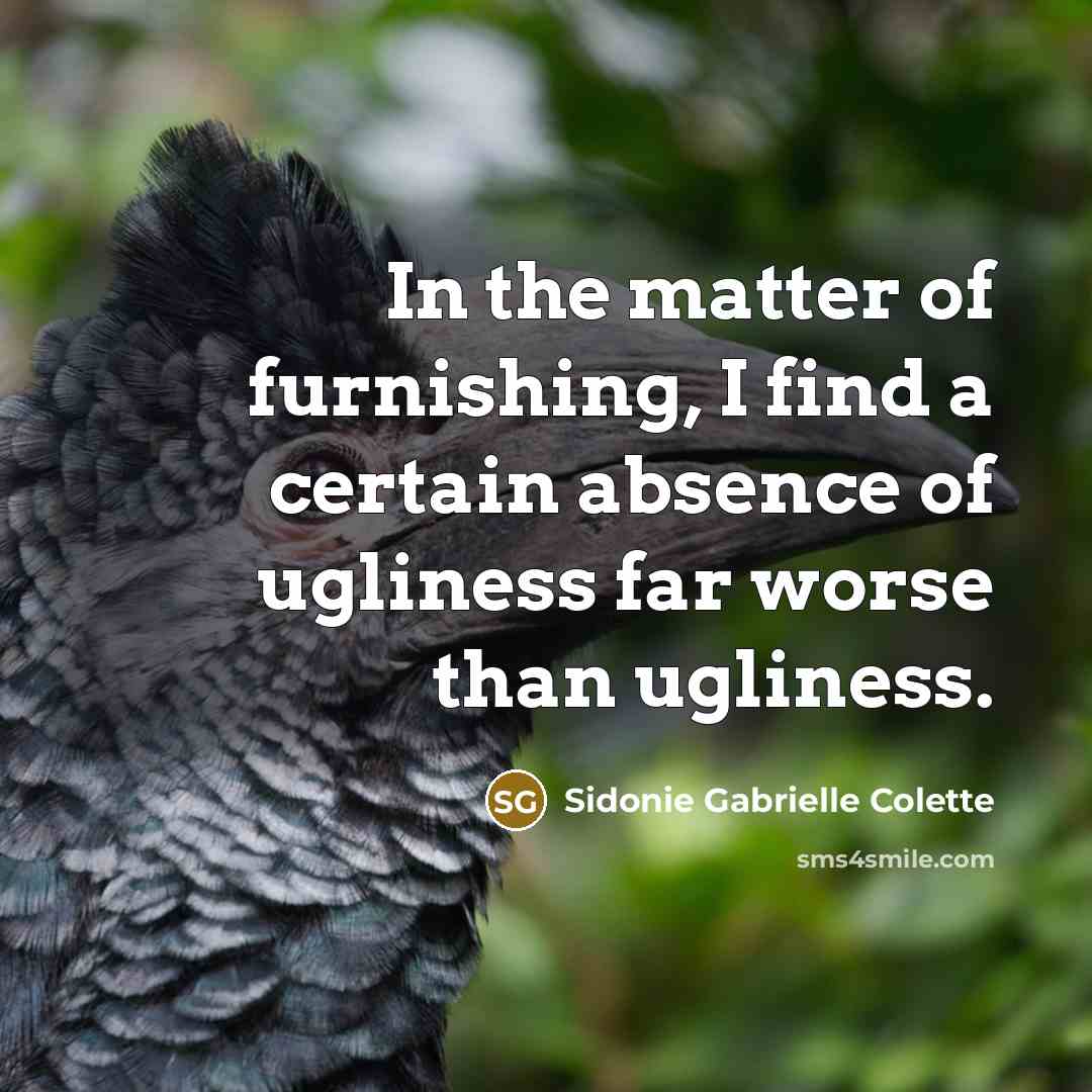 “In the matter of furnishing, I find a certain absence…” quote by Sidonie Gabrielle Colette