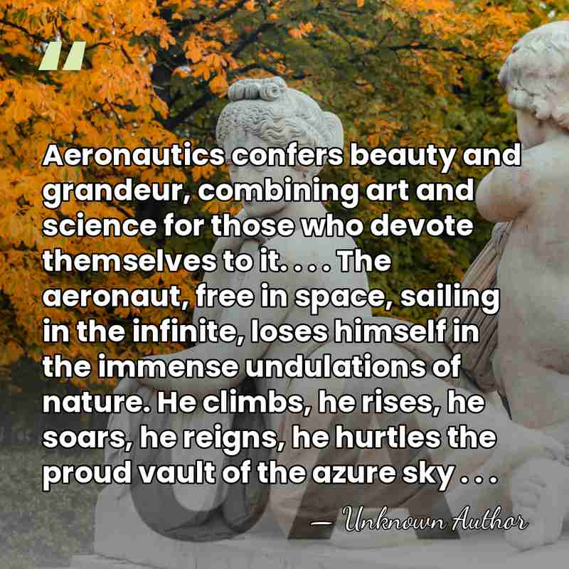 Aeronautics confers beauty and grandeur, combining art and science for those who&hellip; - Unknown Author