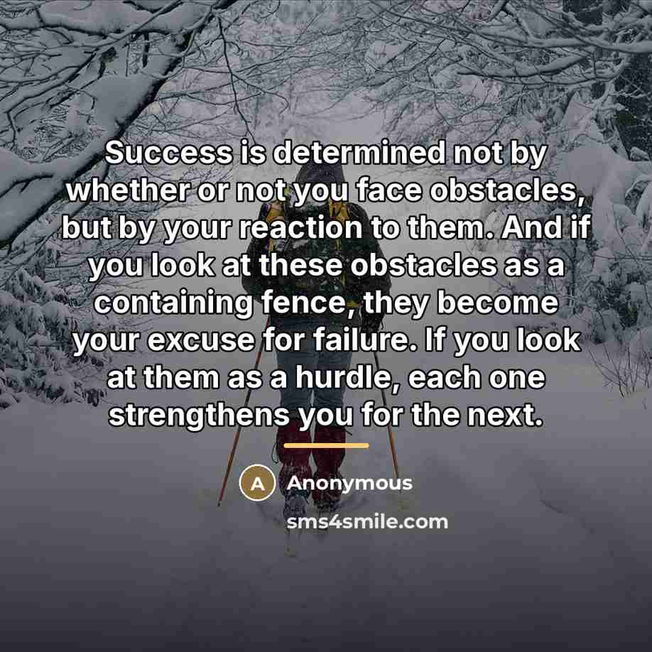 “Success is determined not by whether or not you face…” quote by Anonymous