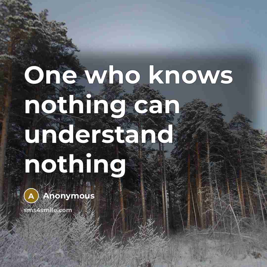“One who knows nothing can understand nothing” quote by Anonymous