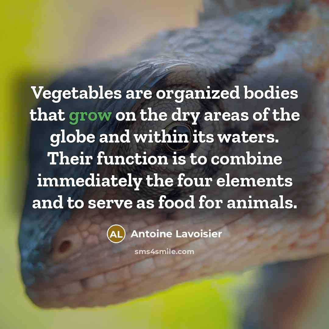 “Vegetables are organized bodies that grow on the dry areas…” quote by Antoine Lavoisier