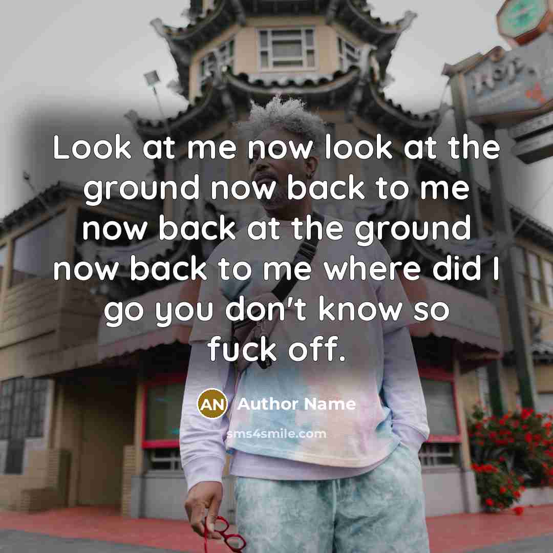 “Look at me now look at the ground now back…” quote by Author Name