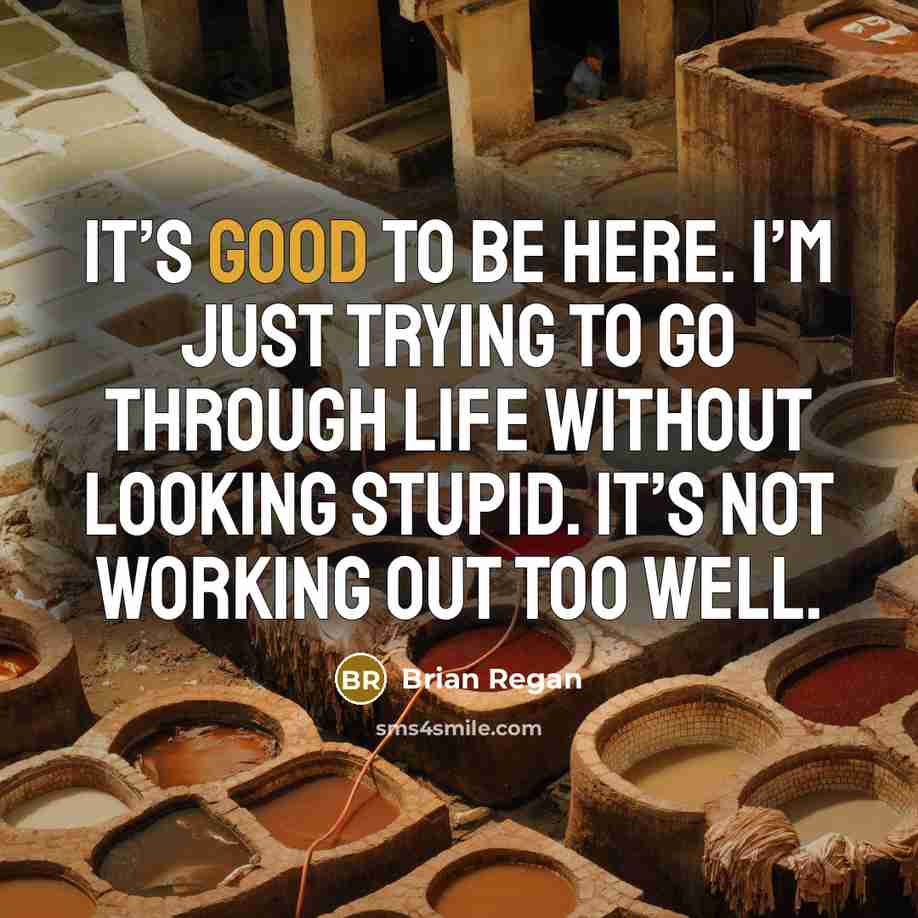 “It’s good to be here. I’m just trying to go…” quote by Brian Regan
