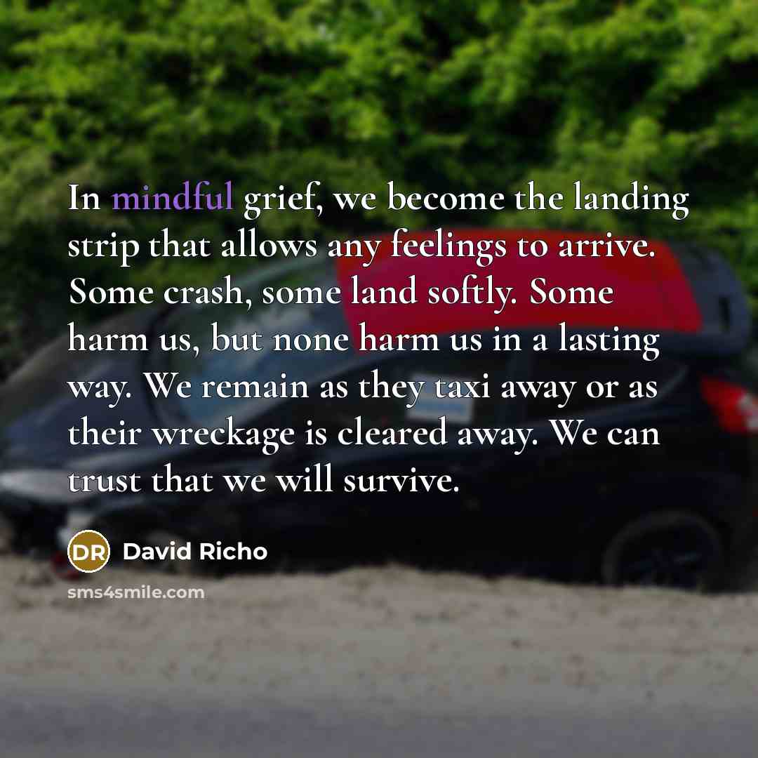 “In mindful grief, we become the landing strip that allows…” quote by David Richo