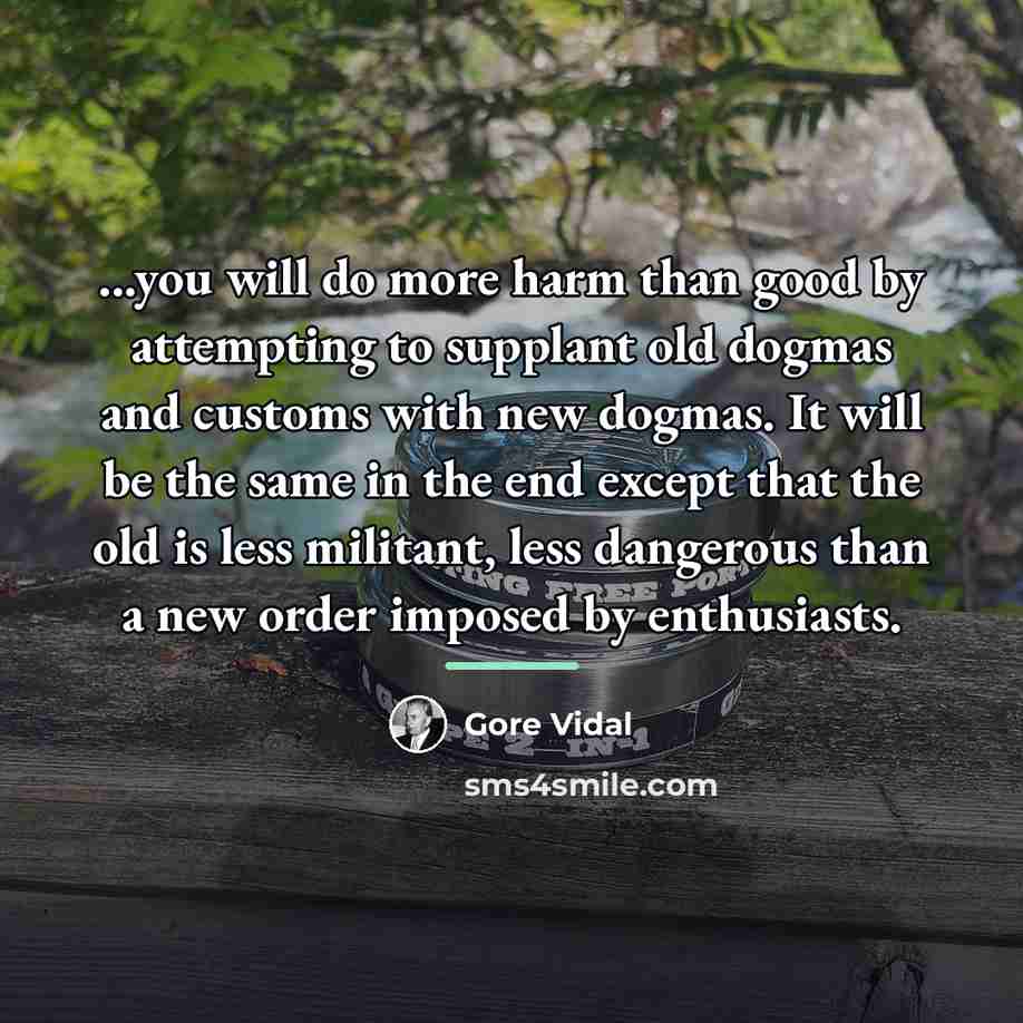 “...you will do more harm than good by attempting to…” quote by Gore Vidal